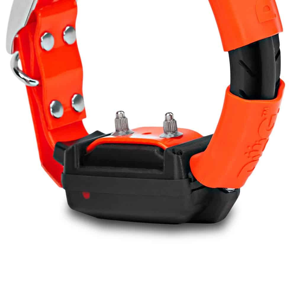 Collar Adicional X30-T - Imagen 6