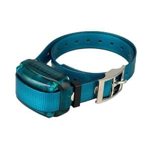 Collar Adicional Mini+