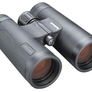Prismático BUSHNELL ENGAGE - 10x42