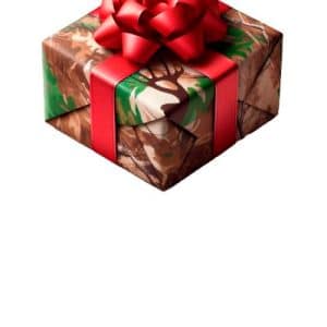 Regalar